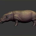 Brown Hippopotamus 3D Model With Textured Surface Standing On Dark Background And Reflection