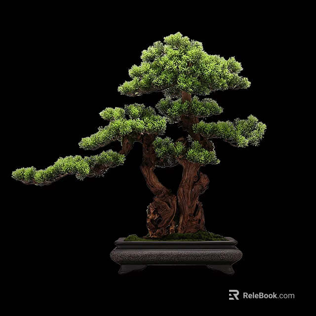 Artistic Bonsai Tree Featuring Lush Green Foliage Twisted Trunk In Decorative Pot Against Black Background 3d model 