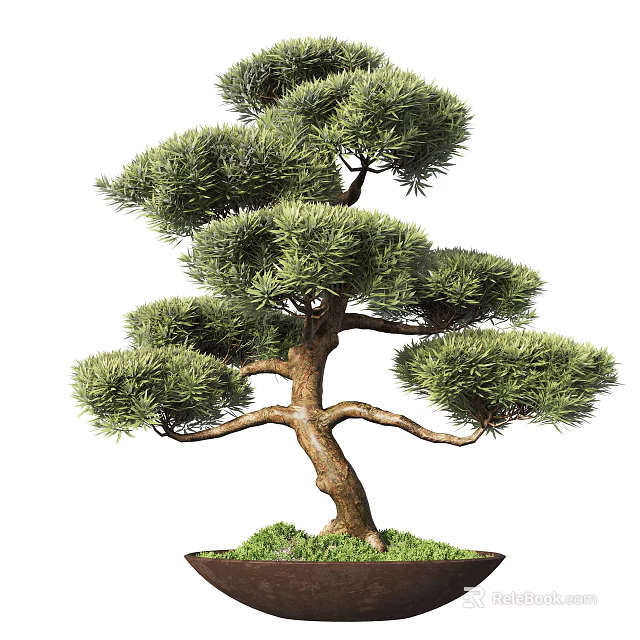 Artistic Bonsai Tree With Curved Branches Lush Green Foliage And Mossy Base 3d model 