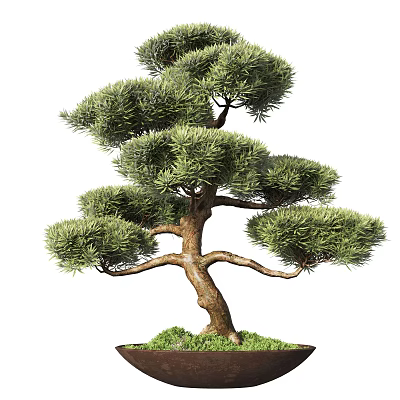 Artistic Bonsai Tree With Curved Branches Lush Green Foliage And Mossy Base 3d model