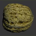 Whole Fresh Walnut With Yellowish Brown Wrinkled Surface On Gray Background