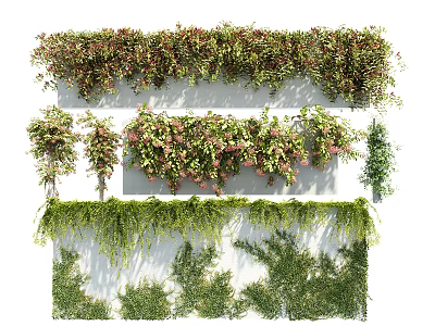 Vines Decorate Walls With Lush Greenery And Blooms 3d model