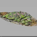 Handcrafted Wood and Stone Decorative Artwork With Green Pink Textured Surface