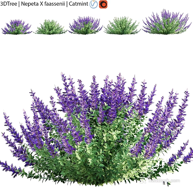 Vibrant Lavender Living Plant Wall with Green Foliage and Purple Blooms 3d model 