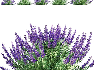 Vibrant Lavender Living Plant Wall with Green Foliage and Purple Blooms 3d model