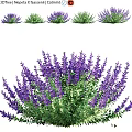 Vibrant Lavender Living Plant Wall with Green Foliage and Purple Blooms