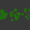 Shaped Arbor Trees with Round Canopies and Lush Foliage with Human Silhouette for Scale