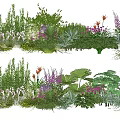 Diverse Colorful Plant Combinations With Herbs Flowers Ferns And Varied Leaf Shapes For Garden Landscaping