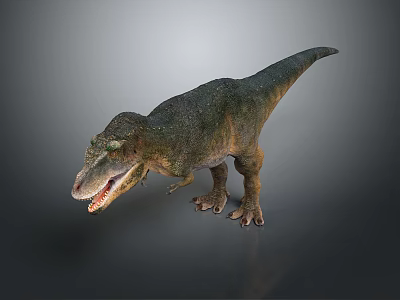 Realistic Reptile Tyrannosaurus Rex With Green Skin Open Mouth And Standing Posture On Gray Background 3d model