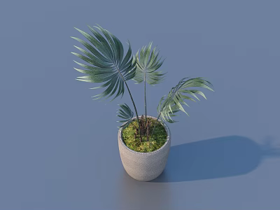 Green Palm Leaf Bonsai Potted Plant With Concrete Pot And Fresh Foliage For Indoor Decor 3d model