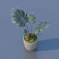 Green Palm Leaf Bonsai Potted Plant With Concrete Pot And Fresh Foliage For Indoor Decor