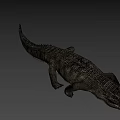 Realistic Crocodile 3D Model With Detailed Skin Texture And Natural Posture