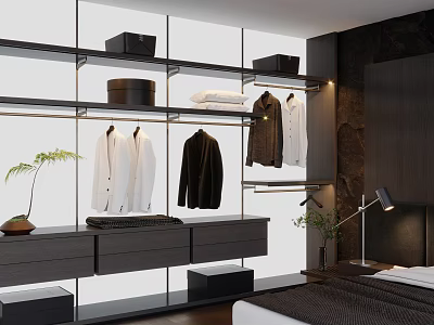 Minimalist Open Frame Wardrobe With Rich Storage Shelves Drawers And Clothes Hanging Space For Bedroom 3d model