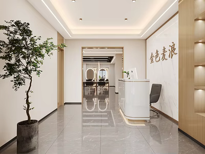 Modern Beauty Hair Salon Interior With Marble Floor White Reception Desk And Green Plant 3d model
