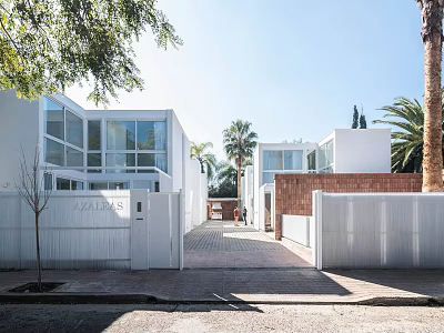 Modern Semi Detached Villa With White Exterior Palm Trees And Driveway 3d model