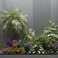 Garden Flowers And Plants Featuring Tall Fern Purple Red Blooms Green Shrubs Against Gray Wall