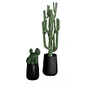 Two Decorative Cactus Potted Plants In Black Pots For Indoor Home Decor
