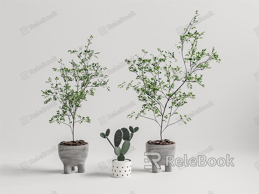 Modern Potted Plant model