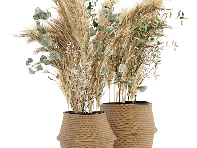 Bonsai Potted Plants in Woven Pots with Dried Grass Eucalyptus Leaves and Small Branches 3d model