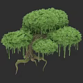 Lush Green Arbor With Dense Canopy Hanging Moss And Exposed Roots