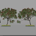 Butterflies Fluttering Around Red Flowering Trees With Green Grass And Silhouette