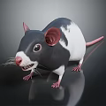 3D Rat Character And Creature Design With Large Ears Pink Nose And Rendered Details