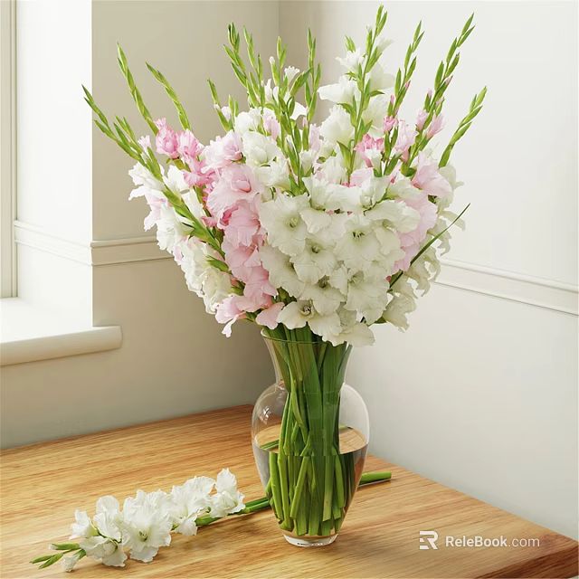 Decorative Ornament Arrangement With Clear Glass Vase And White Pink Gladiolus On Wooden Tabletop 3d model 