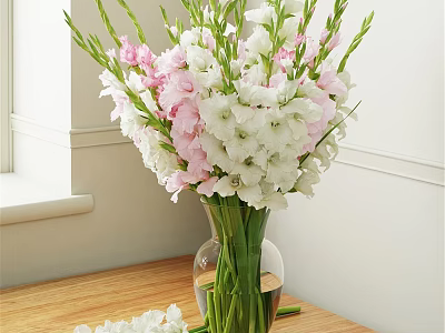 Decorative Ornament Arrangement With Clear Glass Vase And White Pink Gladiolus On Wooden Tabletop 3d model