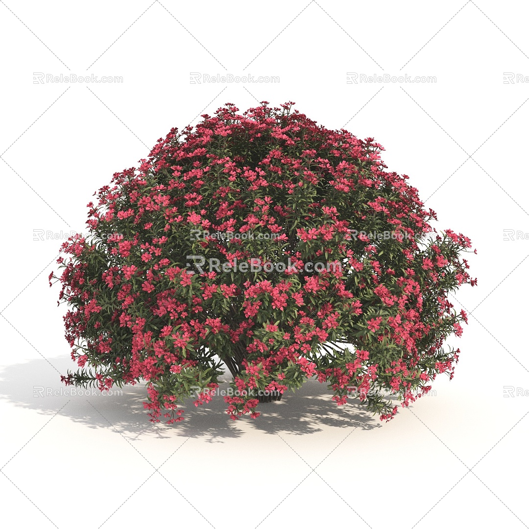 plants shrubs flowers flowers and plants 3d model