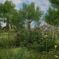 Lush Flowers and Plants in Natural Landscape With Trees Rocks and Green Grass