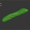 Golden Artisan Baguette Bread With Textured Crust Isolated On Dark Background