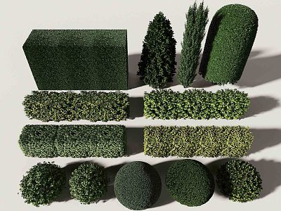 modern shrub hedgerow 3d model