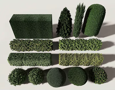 Trimmed Shrubs In Various Shapes Including Square Cone Cylinder Round And Spherical Hedges 3d model