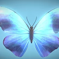 Beautiful Blue Purple Gradient Butterfly With Intricate Wing Patterns On Gray Background 3d model