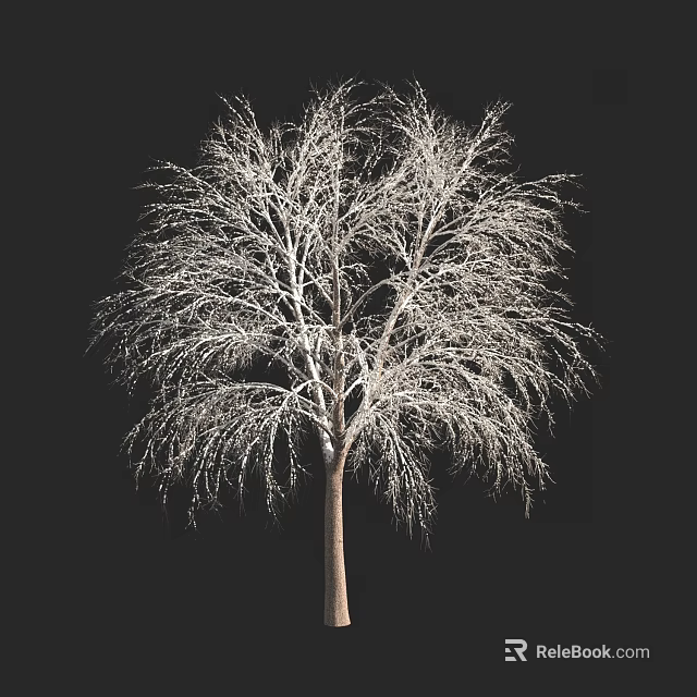 Tall Arbor With Slender Snow Covered Branches Against Dark Backdrop 3d model