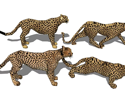 Leopard Patterned Reptiles Showcasing Diverse Movement Poses And Details 3d model
