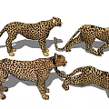 Leopard Patterned Reptiles Showcasing Diverse Movement Poses And Details 3d model