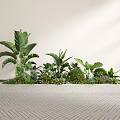 Lush Green Plants with Large Leaves and Ferns Arranged on Indoor Platform Herringbone Floor