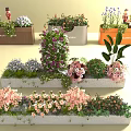 Beautiful Flowers and Plants in Decorative Planters with Lavender Pink Blooms and Green Foliage