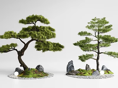 Two Pine Trees With Curved Trunks Rocks Moss And Small Stones 3d model