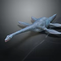 Blue Gray Plesiosaur With Long Neck And Flippers On Dark Background 3d model