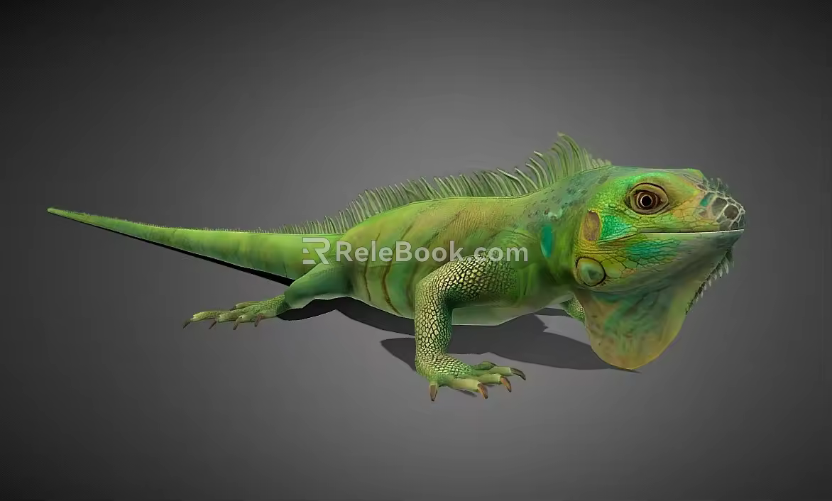 chameleon lizard reptile modern 3d model