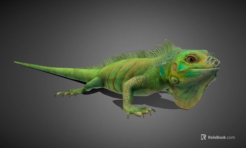 Green Iguana Reptile With Vibrant Green Scales Long Tail Spiny Back On Gray Background 3d model 
