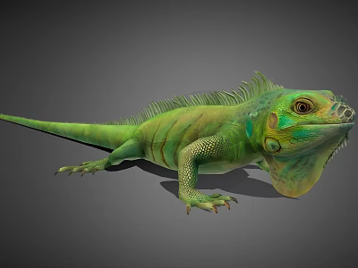 Green Iguana Reptile With Vibrant Green Scales Long Tail Spiny Back On Gray Background 3d model