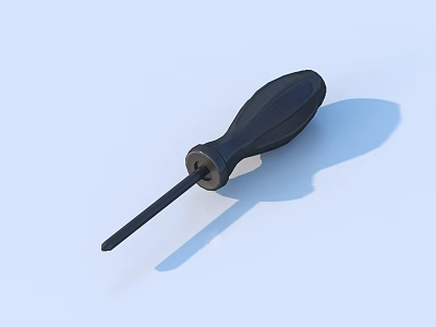 Professional Hardware Hand Tool Screwdriver With Black Handle And Metal Shaft Design 3d model