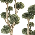 Modern Trees 3d model