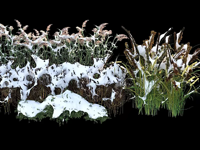 Snow Covered Shrubs And Tall Grasses In Winter Natural Landscape 3d model