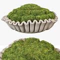 Wavy Grayish White Sculpture With Bowl Shape And Lush Green Moss
