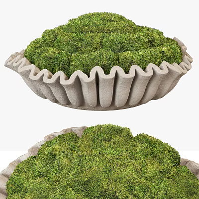 Wavy Grayish White Sculpture With Bowl Shape And Lush Green Moss 3d model