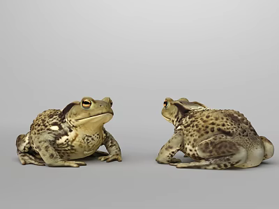 Two Realistic Brown Spotted Toads Facing Each Other On Gray Background 3d model